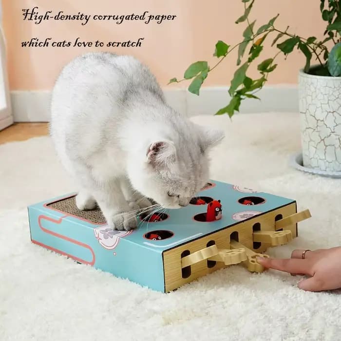 Boîte de jeu interactive 3-en-1 pour chaton d'intérieur : Jouet Whack-A-Mole
