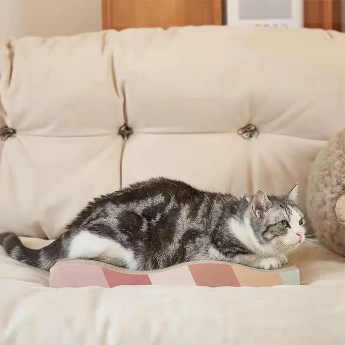 Griffoir pour chat en carton ondulé multi-formes