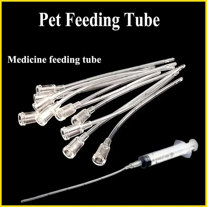 Mangeoire pour animaux de compagnie, Rat, chat, chien, poussin, Tube d'alimentation, tuyau, fournitures en plastique