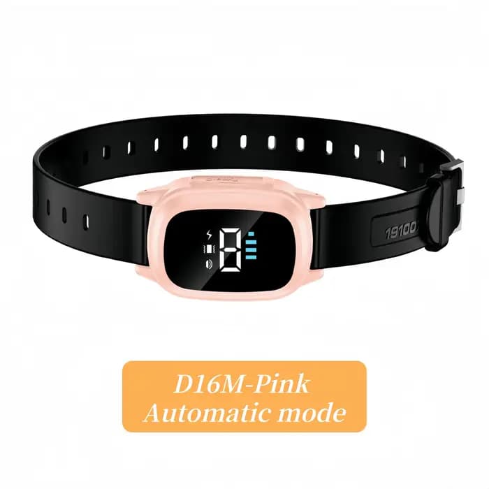 Collier d'entraînement automatique pour chat adapté aux chats et aux chatons