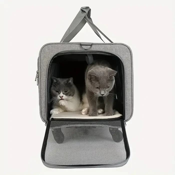 Valise de chariot portative Extra Large pour animaux de compagnie, boîtier de chariot détachable pou