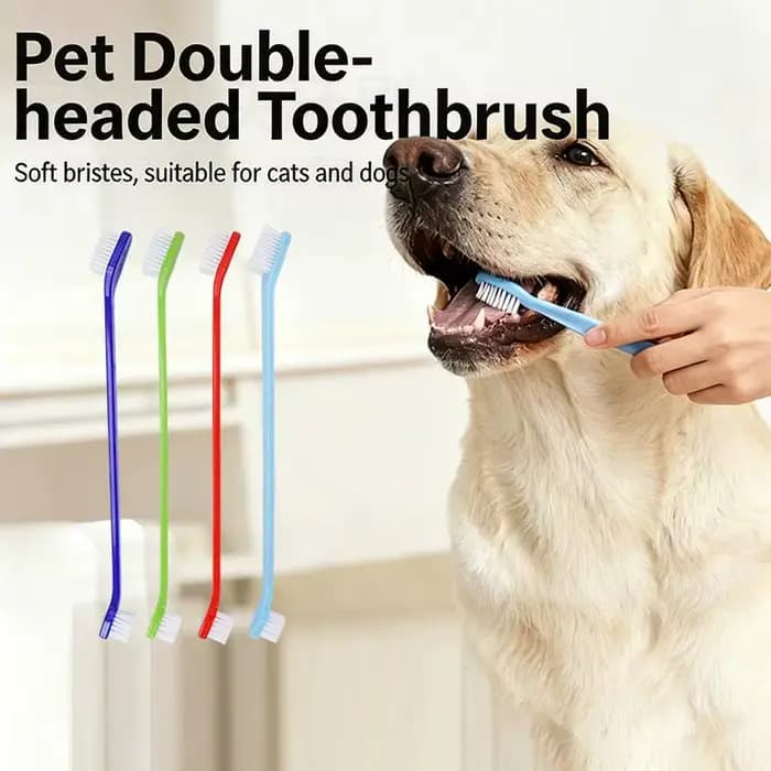 Brosse à dents pour chat et chien avec manche long pour un nettoyage en profondeur