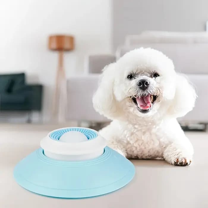 Grattoir à langue pour nettoyage d'animaux de compagnie