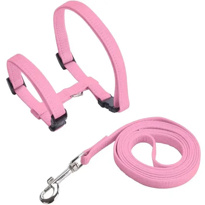Harnais pour chat avec collier et laisse réglables