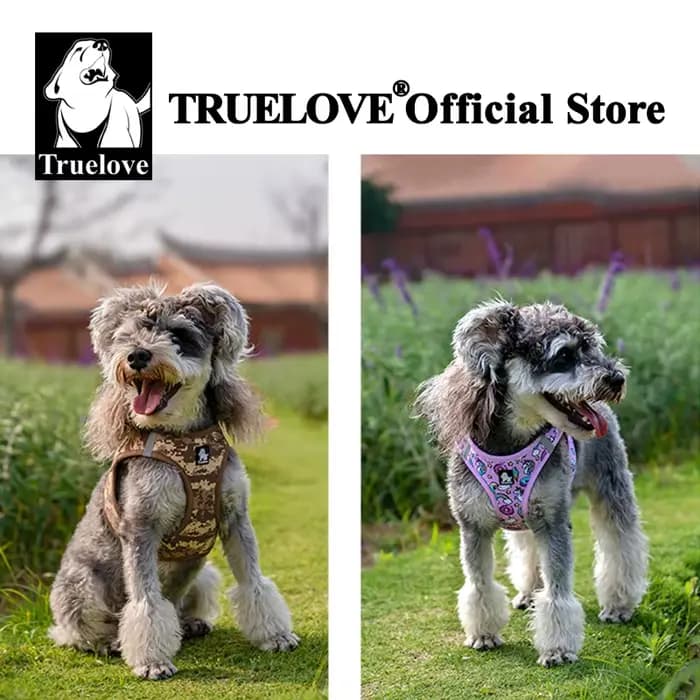 Truelove harnais pour animaux de compagnie maille d'air souple gilet réfléchissant réglable