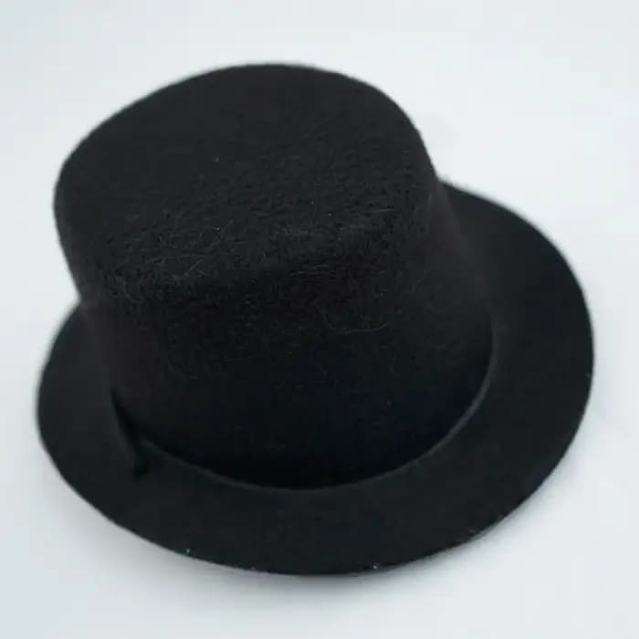 Casquettes de remise des diplômes pour animaux de compagnie