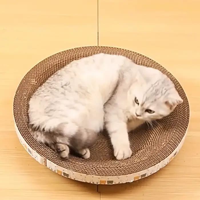 Gratte-chat ondulé grattoirs pour chat rond ovale meulage griffe jouets pour chats résistant à l'usure lit pour chat nid chat accessoires