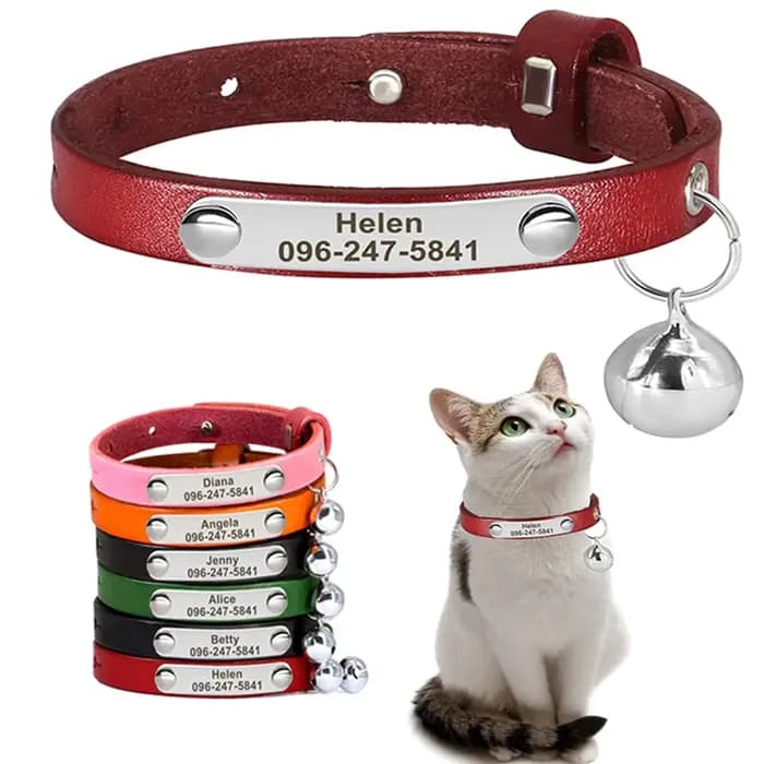 Collier de chat personnalisé réglable en cuir colliers de chats de compagnie collier personnalisé ch