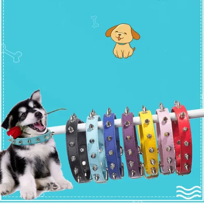 Collier en cuir coloré et réglable pour chat et chien