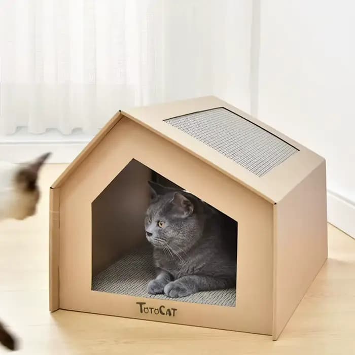 Maison de chat en papier avec tampons à gratter pour l'intérieur