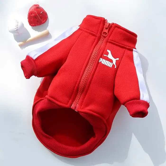 Veste de baseball pour chien