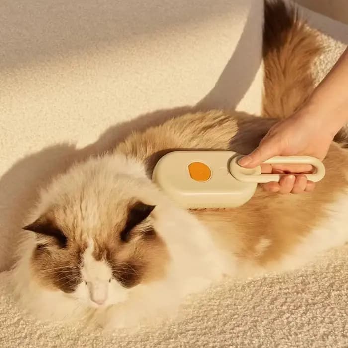 Brosse de pulvérisation Rechargeable pour animaux de compagnie, pour cheveux longs, peigne de Massag