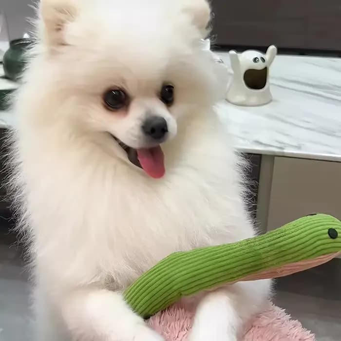 Jouet interactif serpent sonore pour chats et chiens