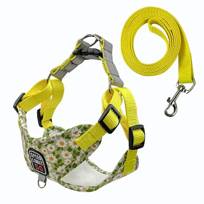 Harnais pour chien de compagnie en nylon