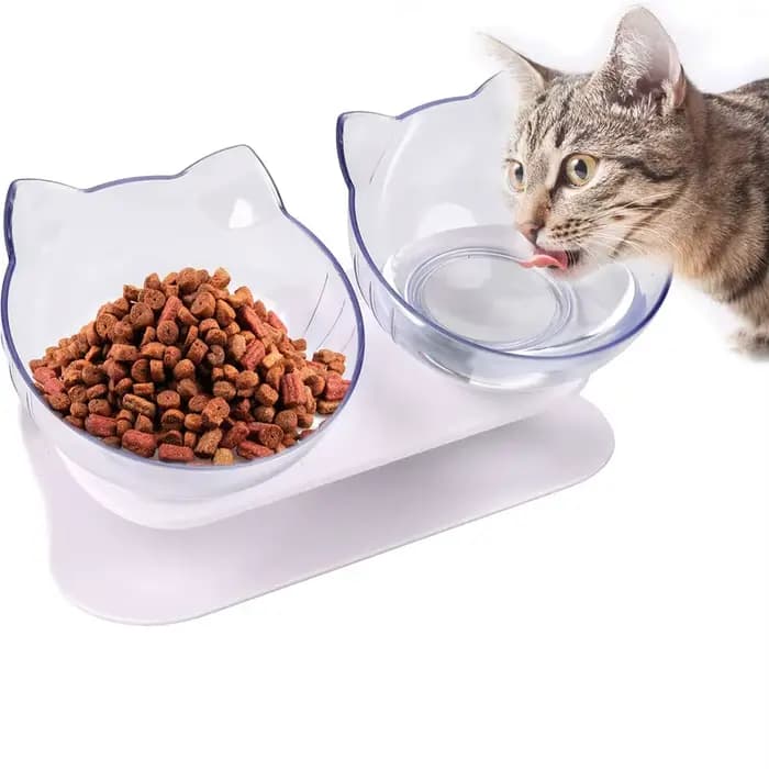 Bols pour chat bol d'alimentation pour animaux de compagnie bol d'eau