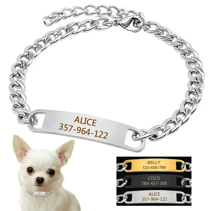 Collier chaîne personnalisé pour chat, gravure gratuite, chiot, chaton, plaque signalétique, collier