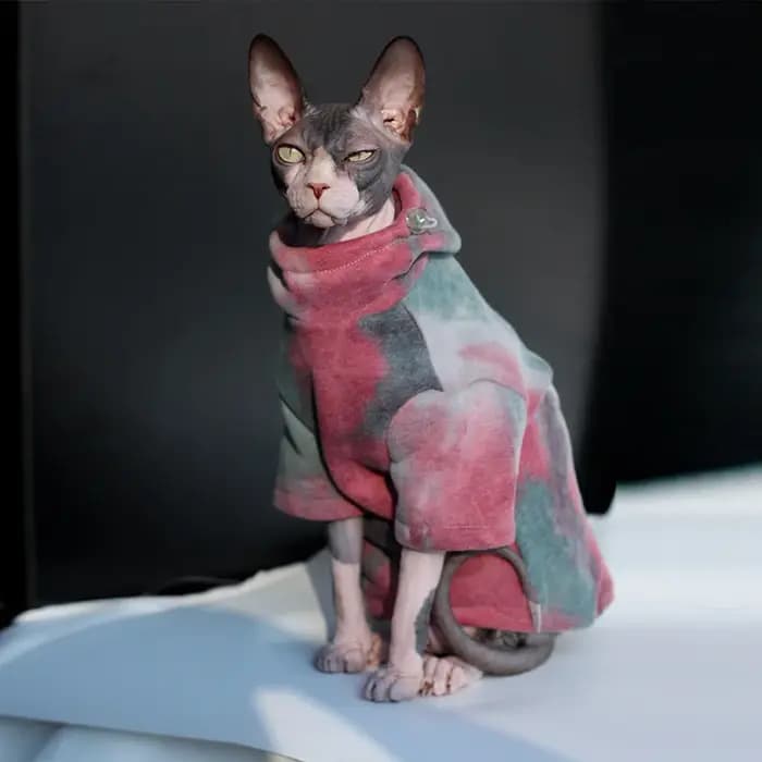 DUOMASUMI Sphynx vêtements pour chat sans poils Devon Rex