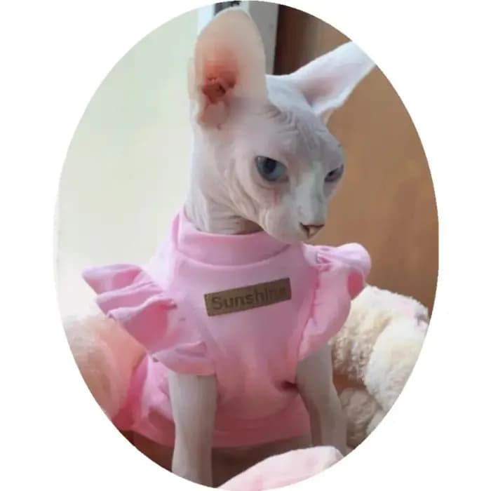 Sphynx – vêtements de luxe pour chat
