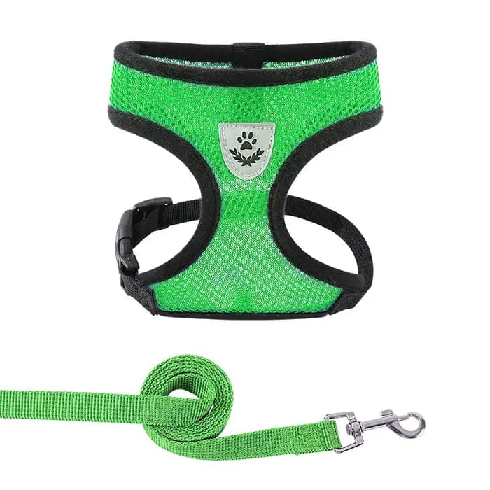 Harnais d'été pour chien et chat