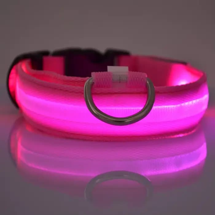 Laisse LED clignotante en nylon pour chien, sécurité nocturne, lueur dans le noir, collier de chien