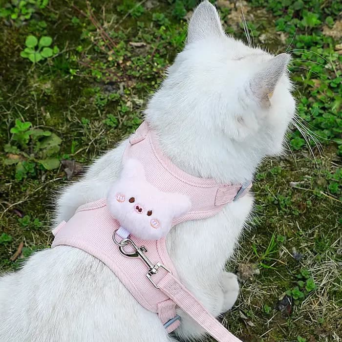 Harnais et laisse pour chaton, anti-évasion, réglable, confortable et doux, anti-traction, pour la promenade