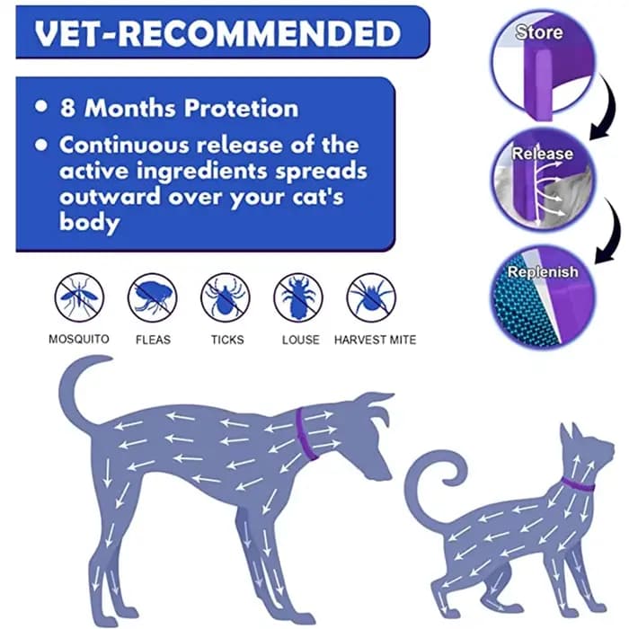 Collier apaisant réglable pour animaux de compagnie, collier pour chats et chiens, réduction de l'an