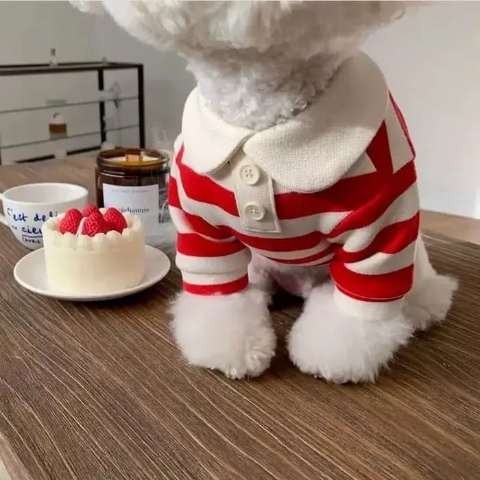Polo d'été pour chiens