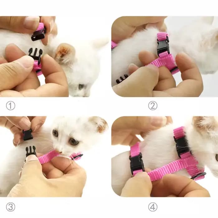 Ensemble harnais et laisse ailes d'ange pour animaux de compagnie, pour chats, chiots, lapin, mignon