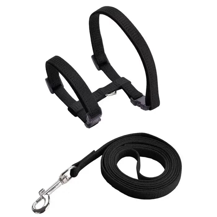 Harnais et laisse pour chat, anti-évasion, sangle en nylon réglable, collier, harnais de type H pour
