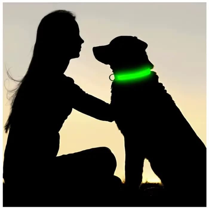 Colliers de Charge lumineux pour chiens, 3 Modes, Led Usb, pour chat, détachable, lueur nocturne, pr