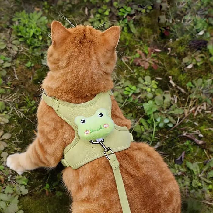 Harnais et laisse pour chaton, anti-évasion, réglable, confortable et doux, anti-traction, pour la promenade