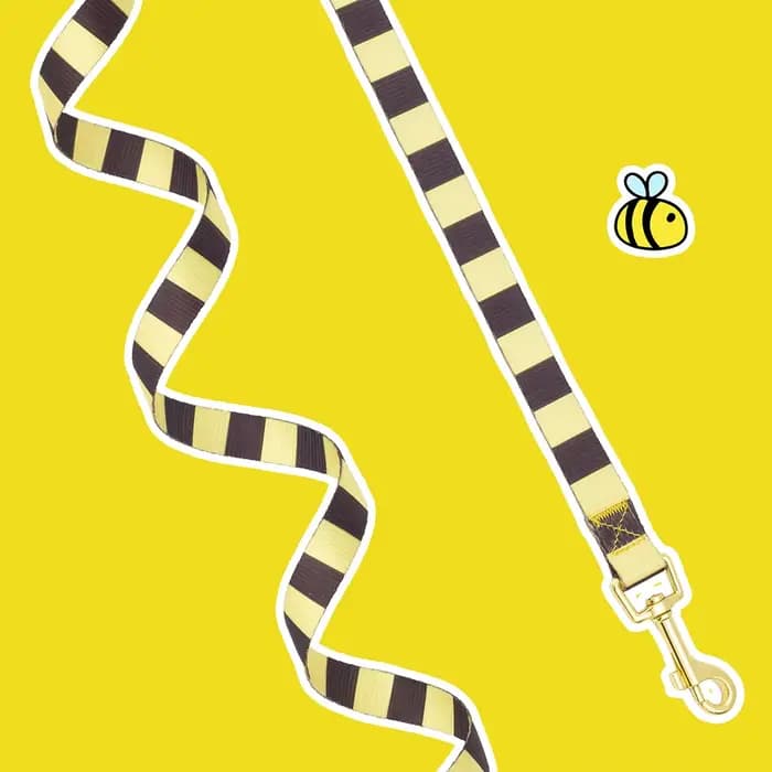 Mignon abeille chaton chiot chiens harnais et laisse ensemble doux respirant chiens gilet harnais la