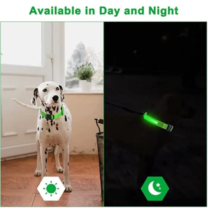 Collier de chien lumineux LED réglable clignotant Rechargea collier lumineux nuit Anti-perte harnais