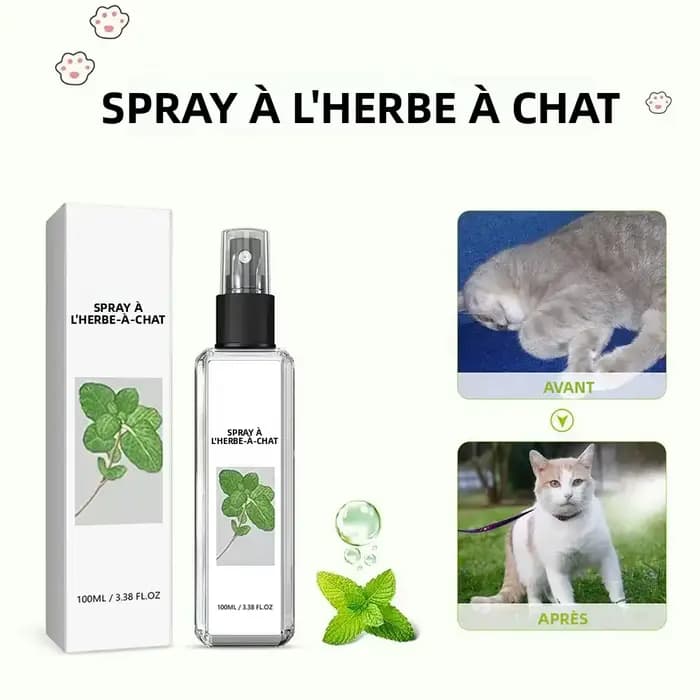 Spray Apaisant à la Menthe pour Chat – Soulagement de l'Anxiété