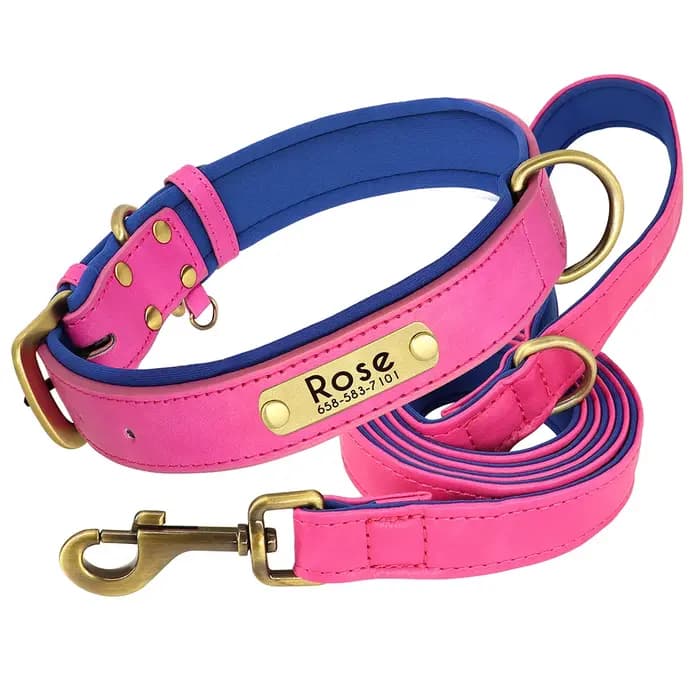 Ensemble de laisse de collier de chien en cuir personnalisé