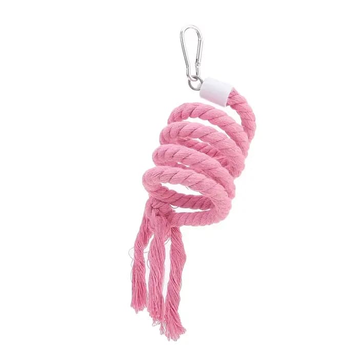 Jouet pour oiseaux en spirale, corde en coton, barre à mâcher, balançoire pour perroquet, jouets deb