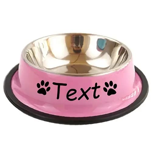 Nom personnalisé chien chat bol en acier inoxydable animal de compagnie coloré eau nourriture anti-dérapant bassin à manger circulaire bol personnalisé Multi taille