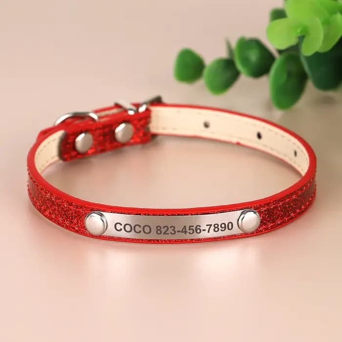 Collier d'identification Anti-perte pour chat