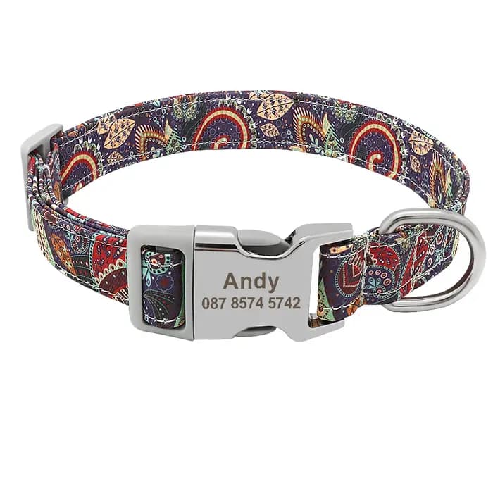 Collier de chien personnalisé