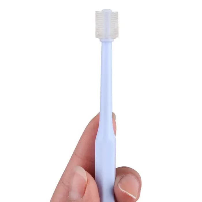 Brosse à dents pour chat