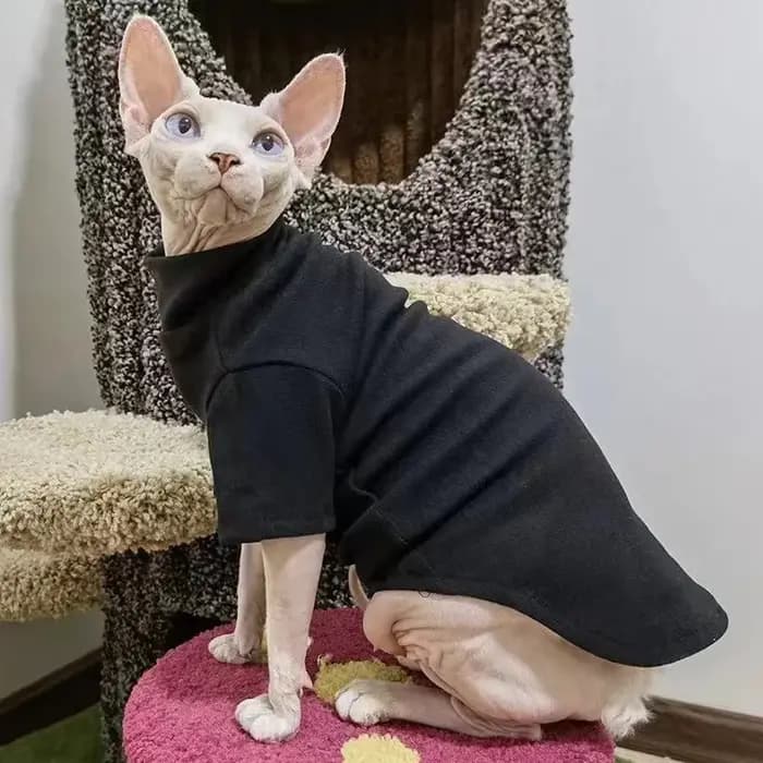 Vêtements d'hiver épais pour chat Sphynx