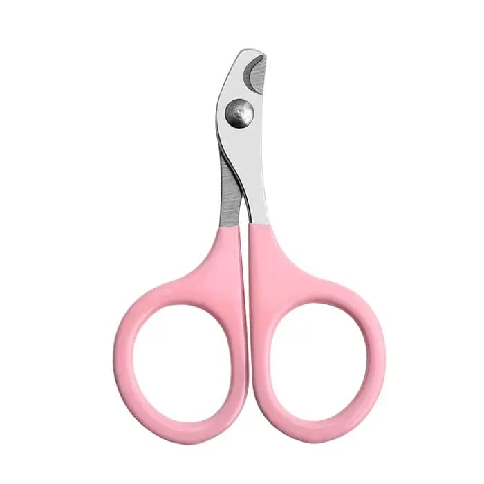 Ciseaux à ongles professionnels pour chat