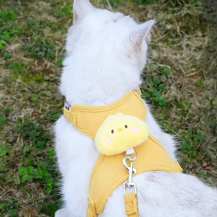 Harnais et laisse pour chaton, anti-évasion, réglable, confortable et doux, anti-traction, pour la promenade