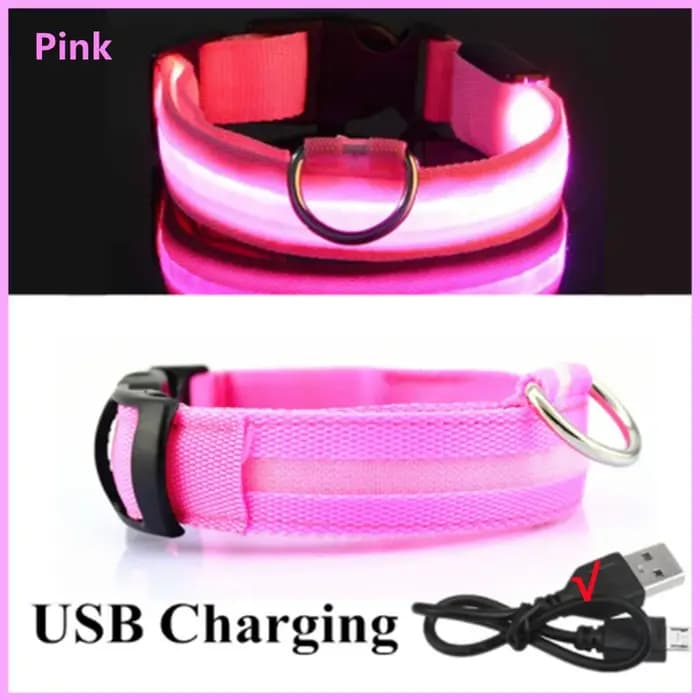 Collier de chien lumineux LED réglable clignotant Rechargea
