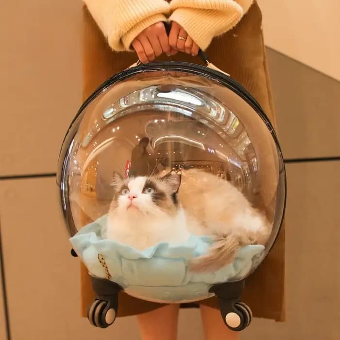Sac de voyage portable pour chat