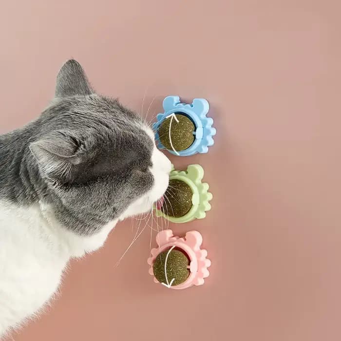 Tirets pour animaux de compagnie chat sain herbe-aux-chats jouets balle