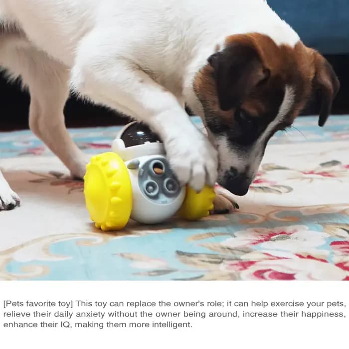 Distributeur interactif de friandises pour chiens et chats