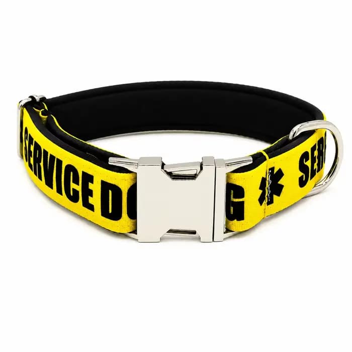 Collier personnalisé pour animaux de compagnie