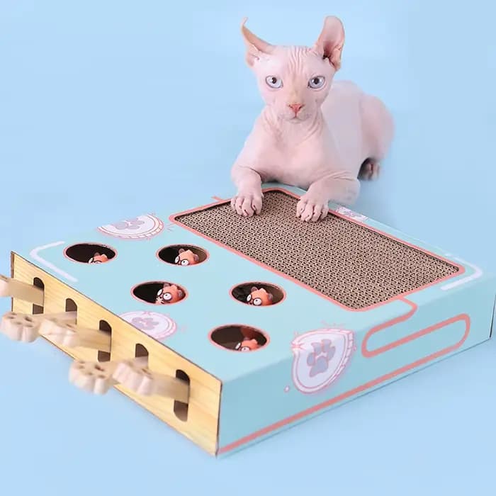 Boîte de jeu pour chat, labyrinthe interactif éducatif, frappé Gophers, bâton de chat drôle 3 en 1,