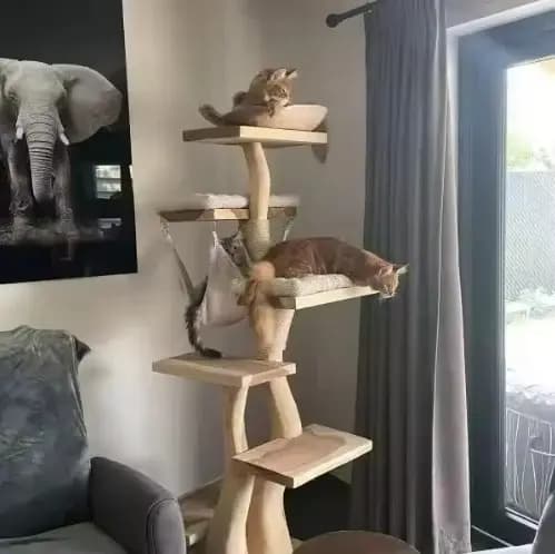 Arbre à chat en bois d'intérieur moderne de haute qualité
